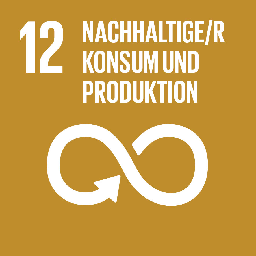 ZIEL 12: NACHHALTIGE/R KONSUM UND PRODUKTION
