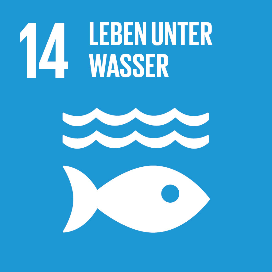 ZIEL 14: LEBEN UNTER WASSER